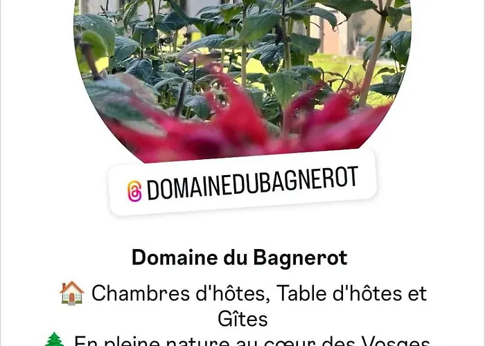 D'hote Cosy Domaine Du Bagnerot 3*